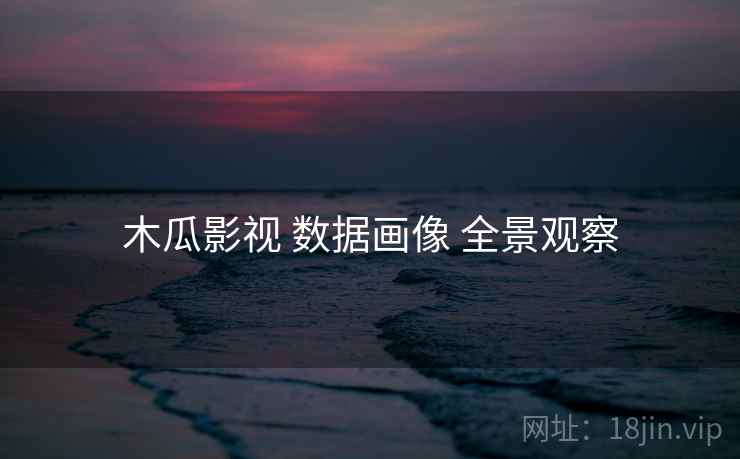 木瓜影视 数据画像 全景观察