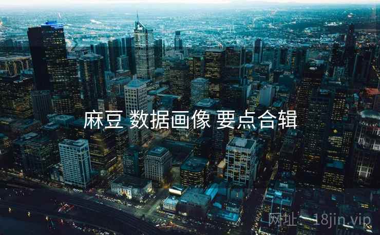 麻豆 数据画像 要点合辑 麻豆 数据画像 要点合辑