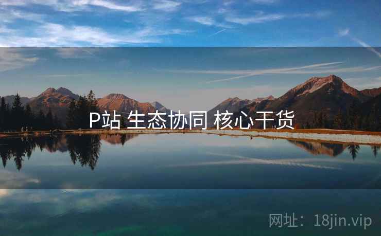 P站 生态协同 核心干货