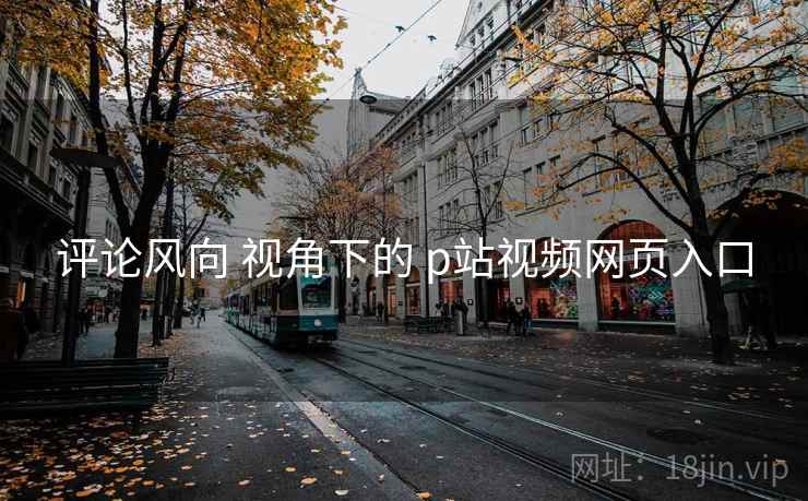 评论风向 视角下的 p站视频网页入口