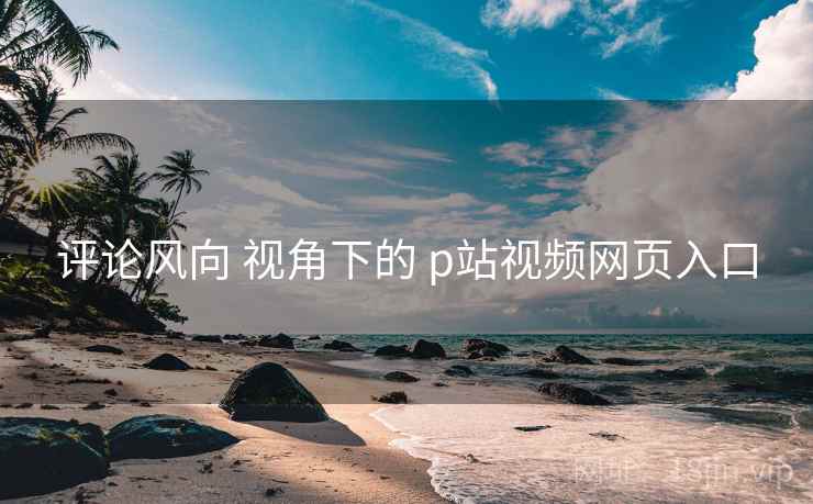 评论风向 视角下的 p站视频网页入口