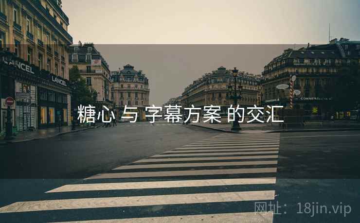 糖心 与 字幕方案 的交汇