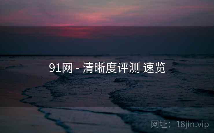 91网 - 清晰度评测 速览