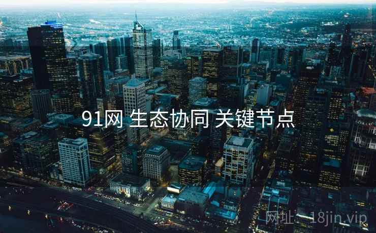 91网 生态协同 关键节点