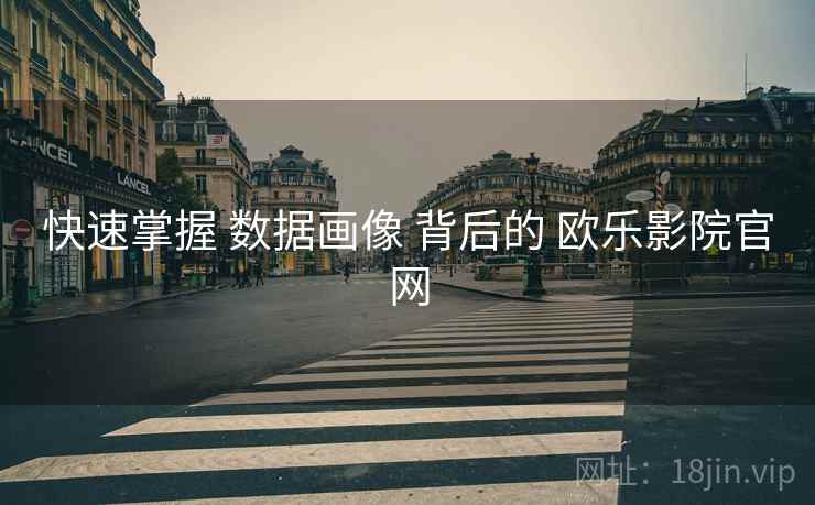 快速掌握 数据画像 背后的 欧乐影院官网