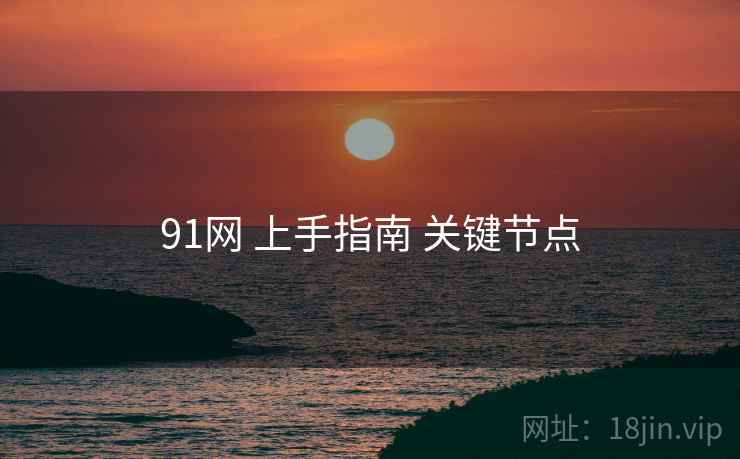 91网 上手指南 关键节点 91网 上手指南 关键节点